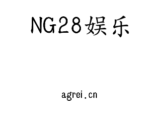 深圳市NG28娱乐电子有限公司官网